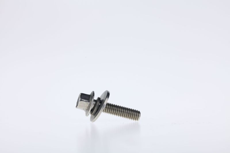 Stainless steel screws with washers