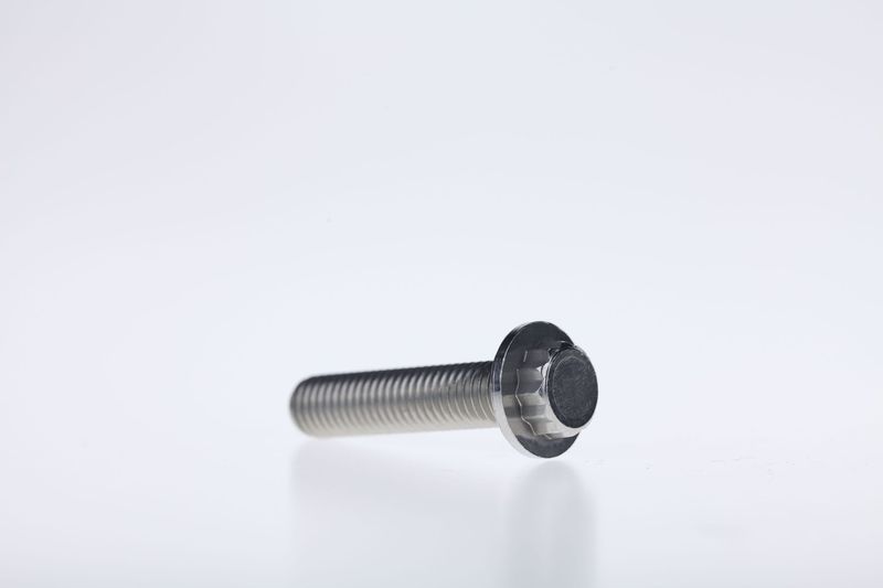 Stainless steel special flange screws